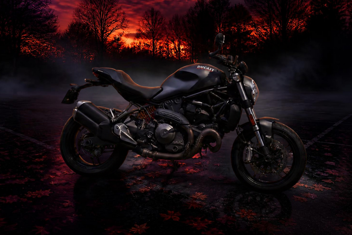 2019 Ducati Monster 821